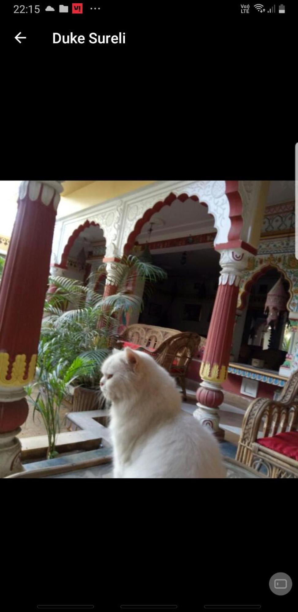 Sureli Haveli Apartment Jaipur Cameră foto