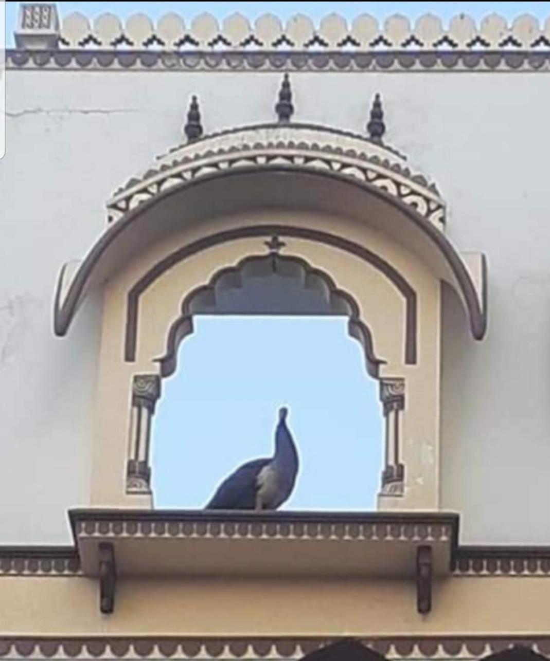 Sureli Haveli Apartment Jaipur Exterior foto